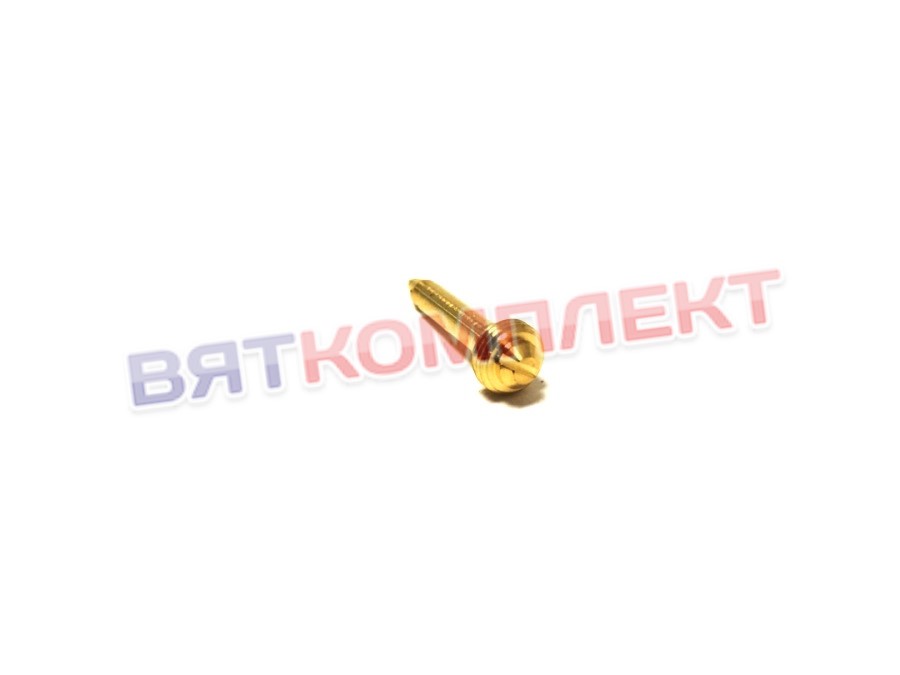 Форсунка пилотная D 0,35 мм (51618800)